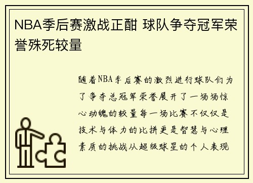 NBA季后赛激战正酣 球队争夺冠军荣誉殊死较量